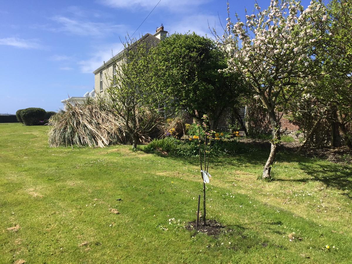 Berry Lodge Country House Spanish Point Exterior foto